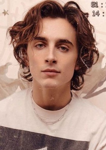 Timothée Chalamet photo