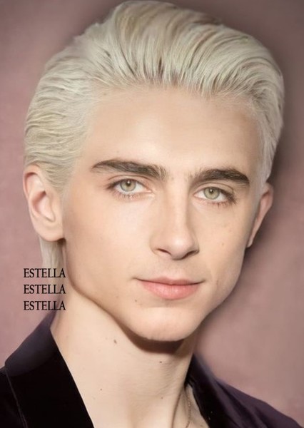 Timothée Chalamet photo