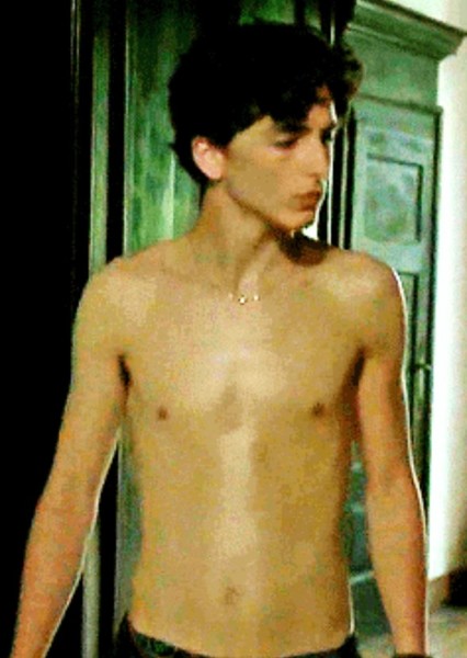 Timothée Chalamet photo