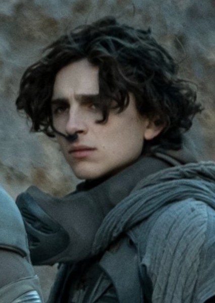 Timothée Chalamet photo