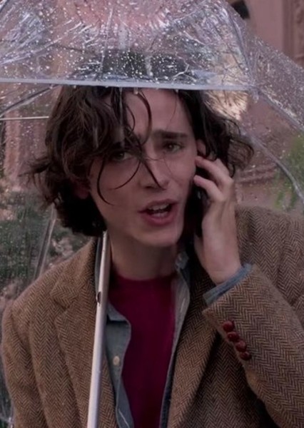 Timothée Chalamet photo