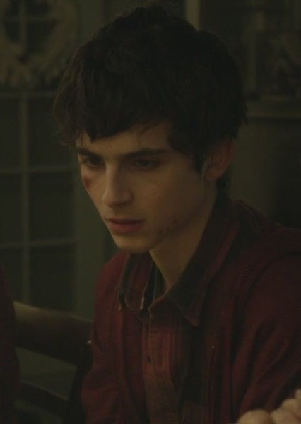 Timothée Chalamet photo