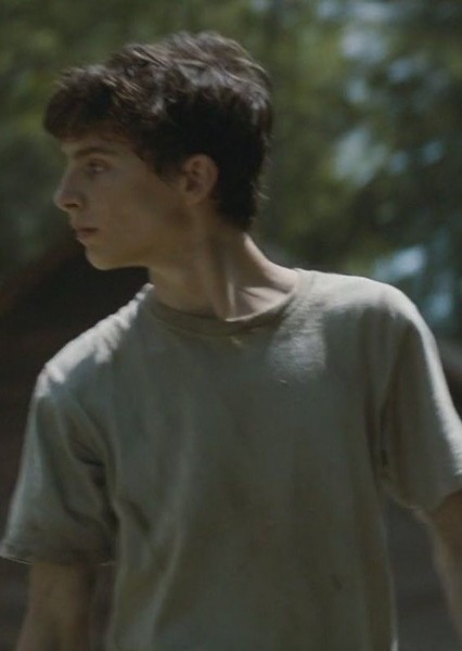 Timothée Chalamet photo