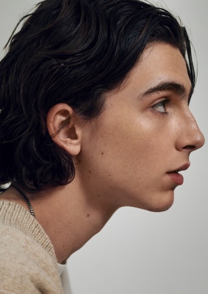 Timothée Chalamet photo