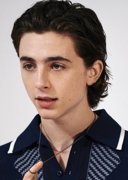 Timothée Chalamet photo