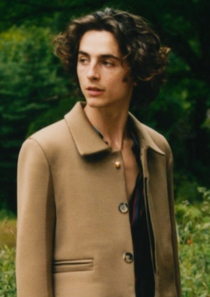 Timothée Chalamet photo