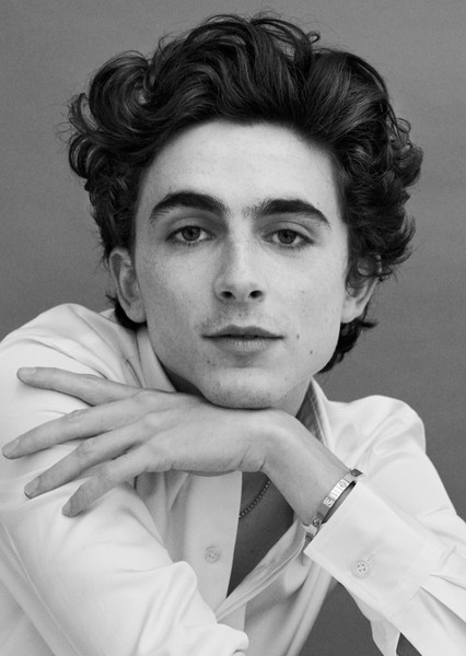 Timothée Chalamet photo