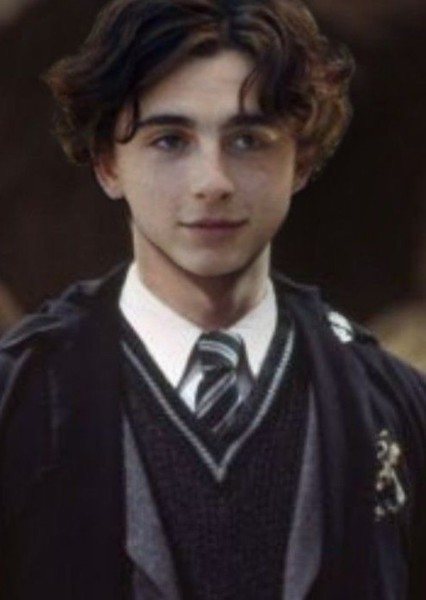 Timothée Chalamet photo