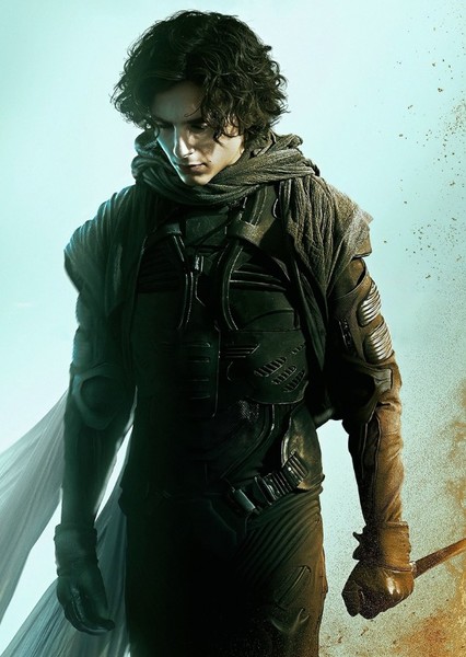 Timothée Chalamet photo