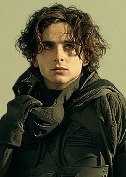 Timothée Chalamet photo
