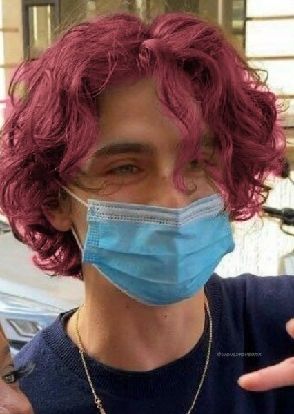 Timothée Chalamet photo