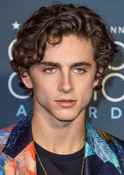 Timothée Chalamet photo