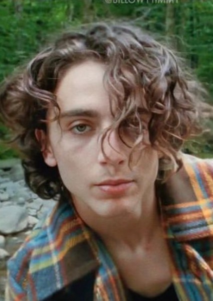 Timothée Chalamet photo