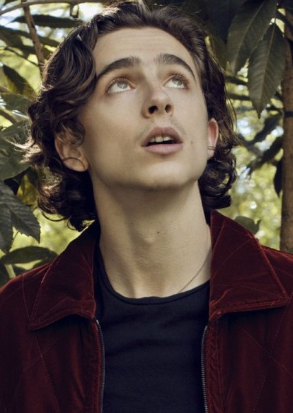 Timothée Chalamet photo
