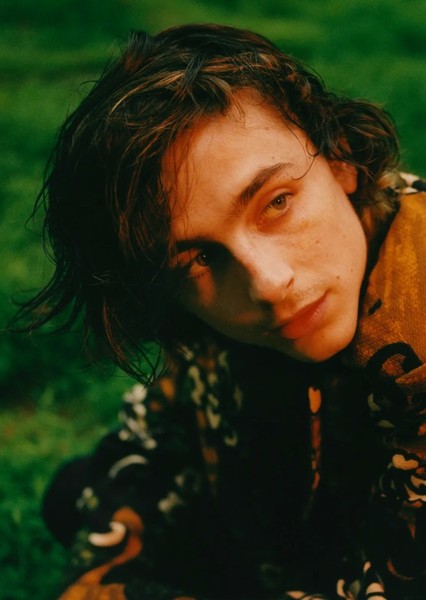 Timothée Chalamet photo