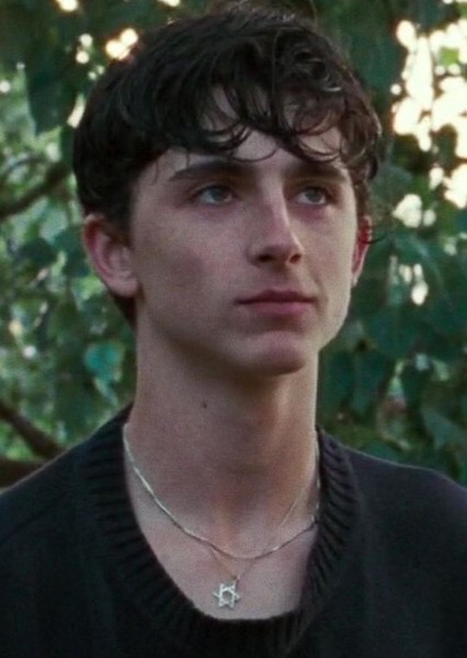 Timothée Chalamet photo