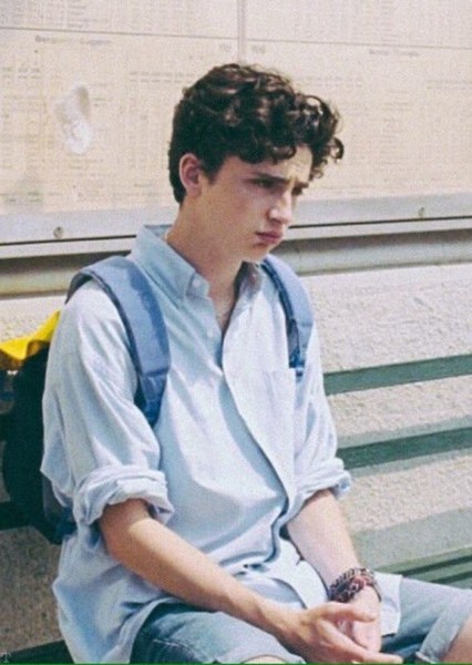 Timothée Chalamet photo