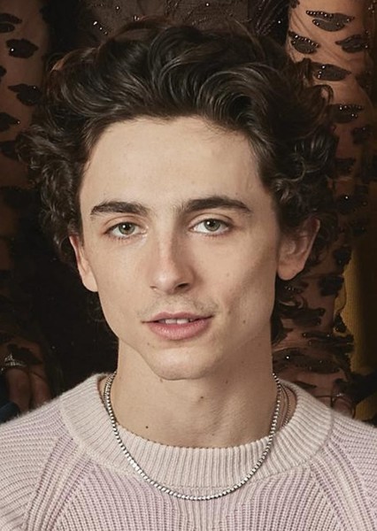 Timothée Chalamet photo