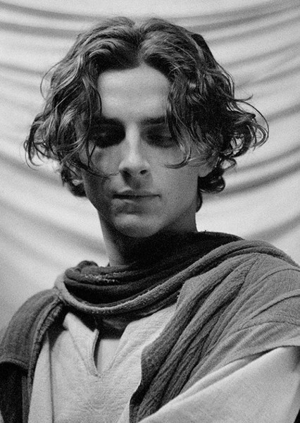 Timothée Chalamet photo