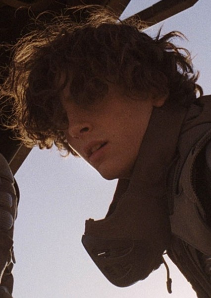 Timothée Chalamet photo