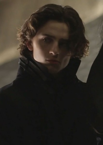 Timothée Chalamet photo