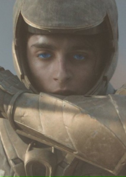 Timothée Chalamet photo