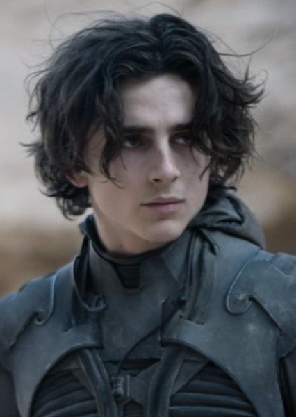 Timothée Chalamet photo