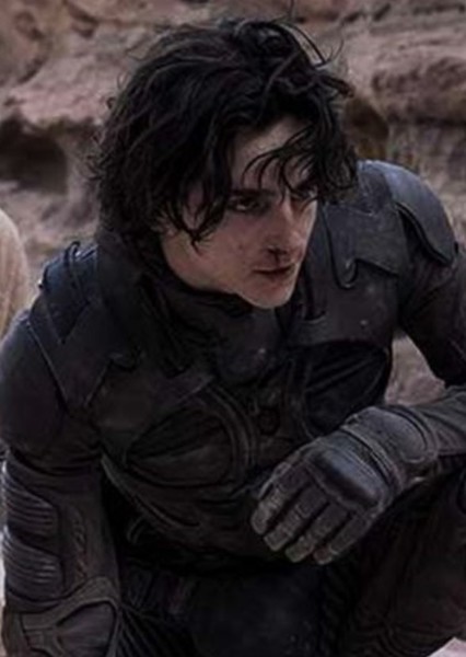 Timothée Chalamet photo