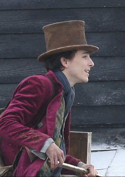 Timothée Chalamet photo