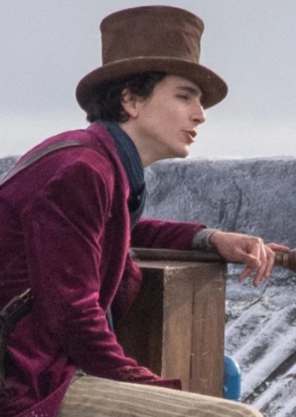 Timothée Chalamet photo