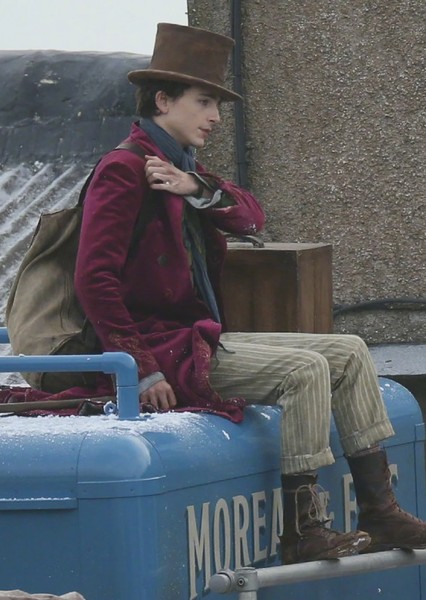 Timothée Chalamet photo