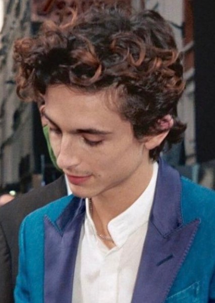 Timothée Chalamet photo