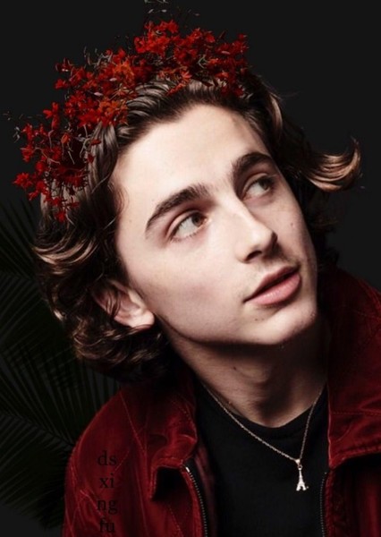 Timothée Chalamet photo
