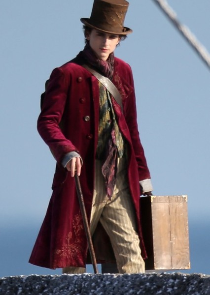 Timothée Chalamet photo