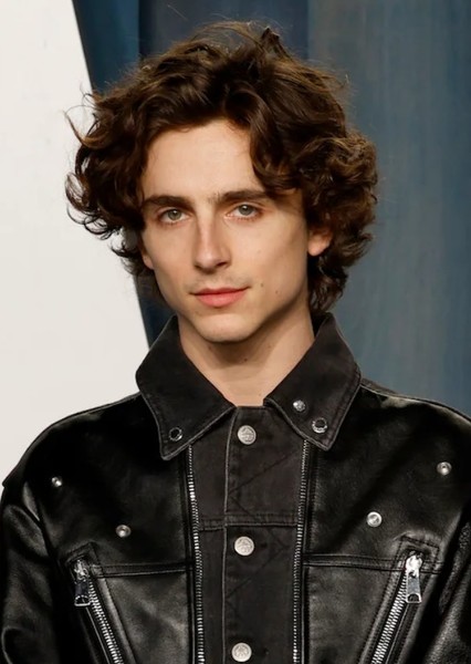 Timothée Chalamet photo