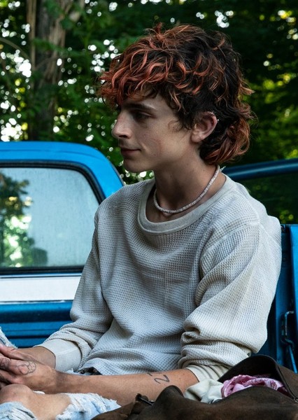 Timothée Chalamet photo