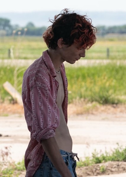 Timothée Chalamet
