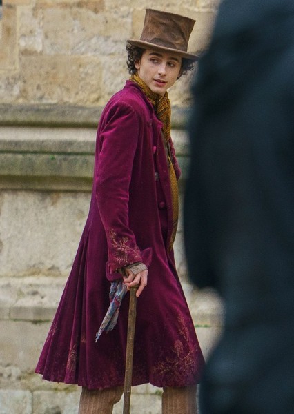 Timothée Chalamet photo