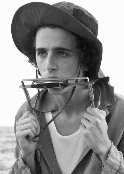 Timothée Chalamet photo