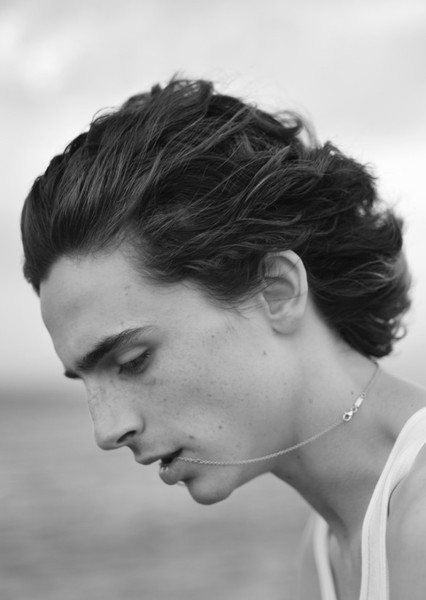Timothée Chalamet photo