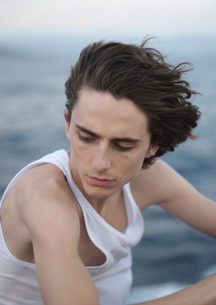 Timothée Chalamet photo