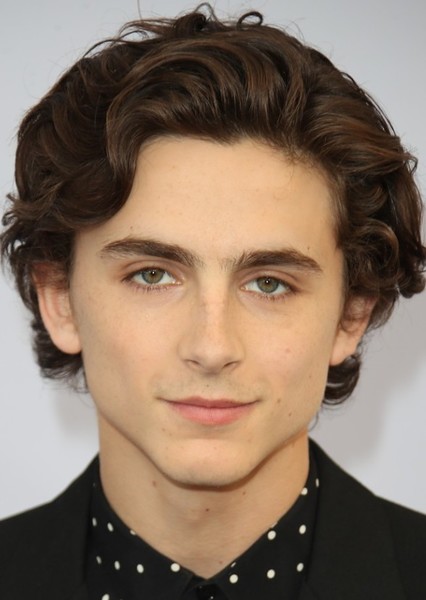 Timothée Chalamet photo