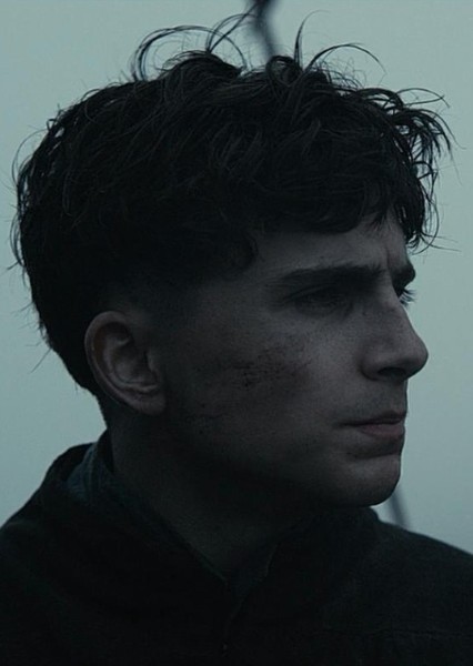 Timothée Chalamet photo