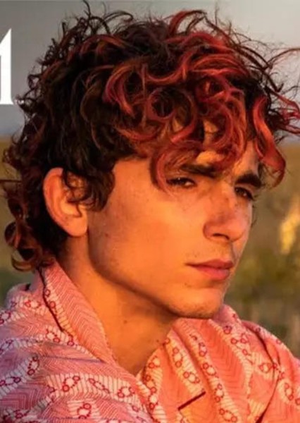 Timothée Chalamet photo