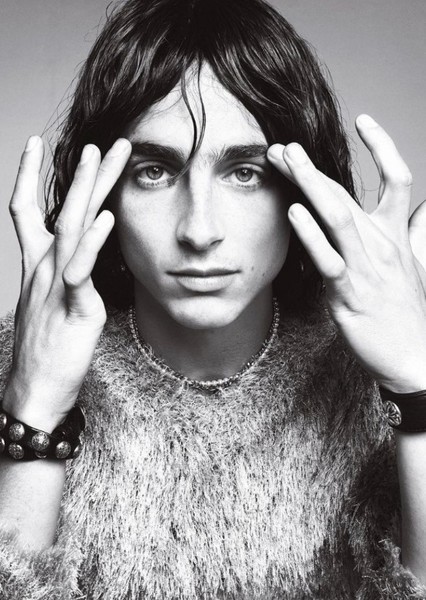 Timothée Chalamet photo