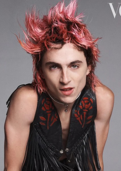 Timothée Chalamet
