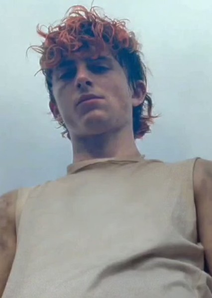Timothée Chalamet photo