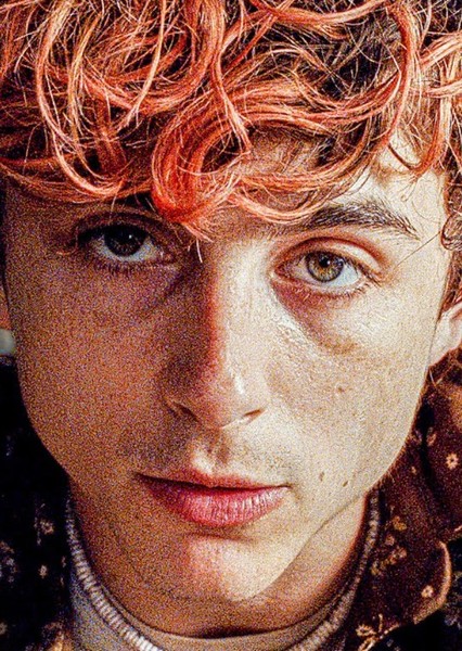 Timothée Chalamet photo