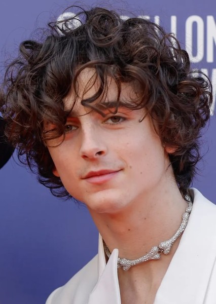Timothée Chalamet photo