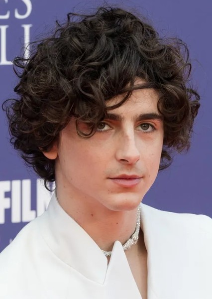 Timothée Chalamet photo